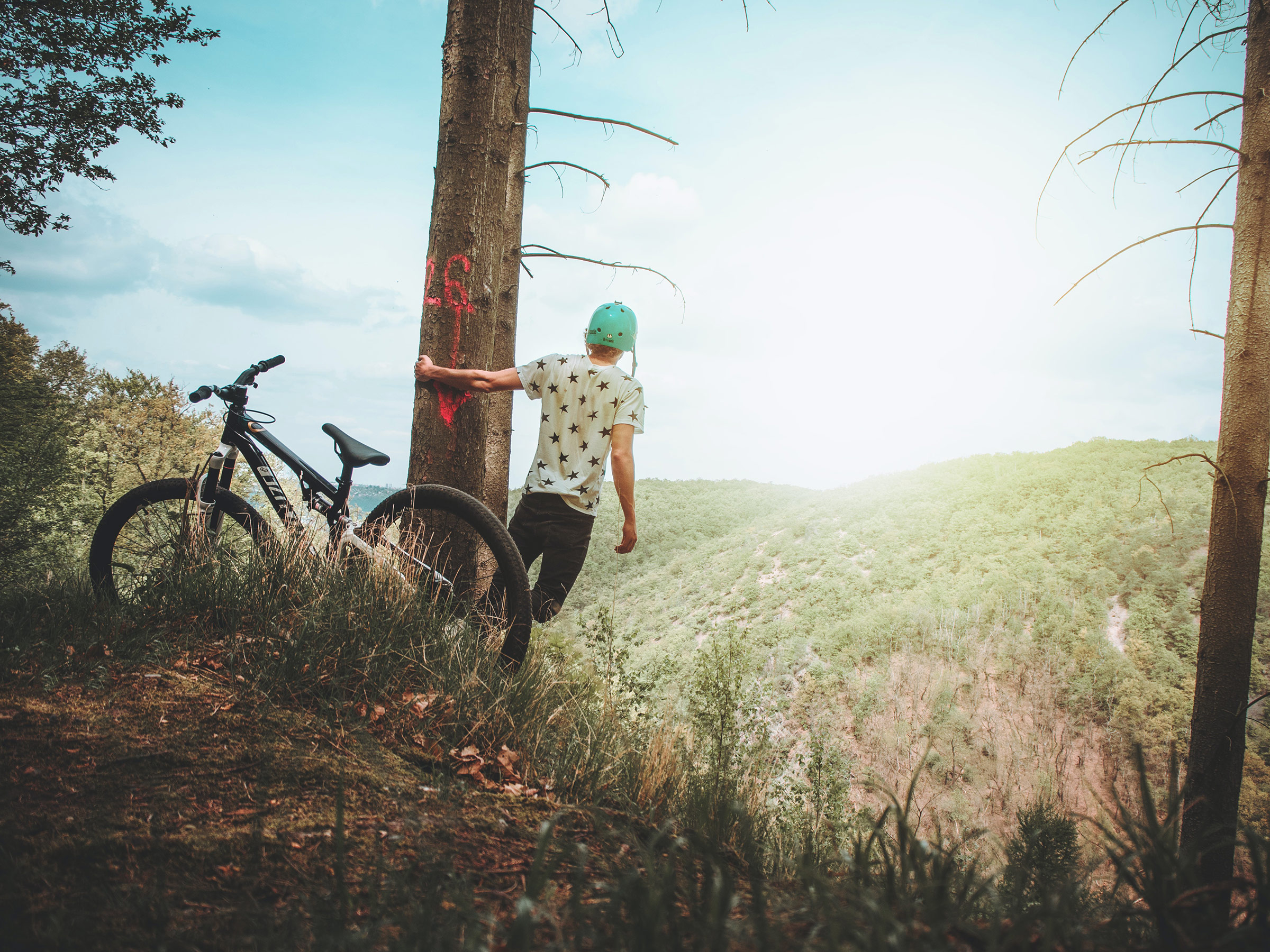 Blazing New Trails